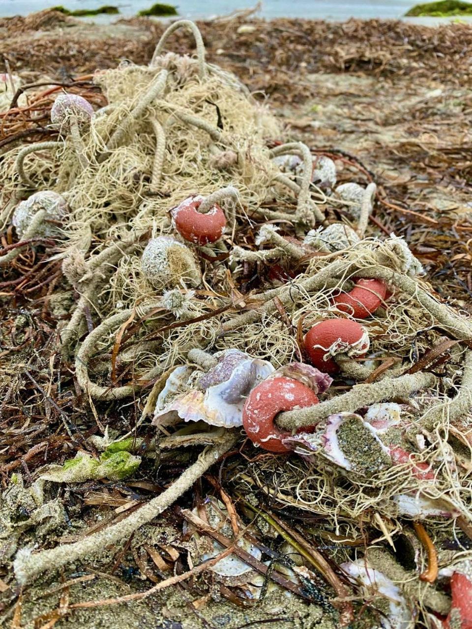 Appartamento Gradissimo Grado-Pineta Esterno foto