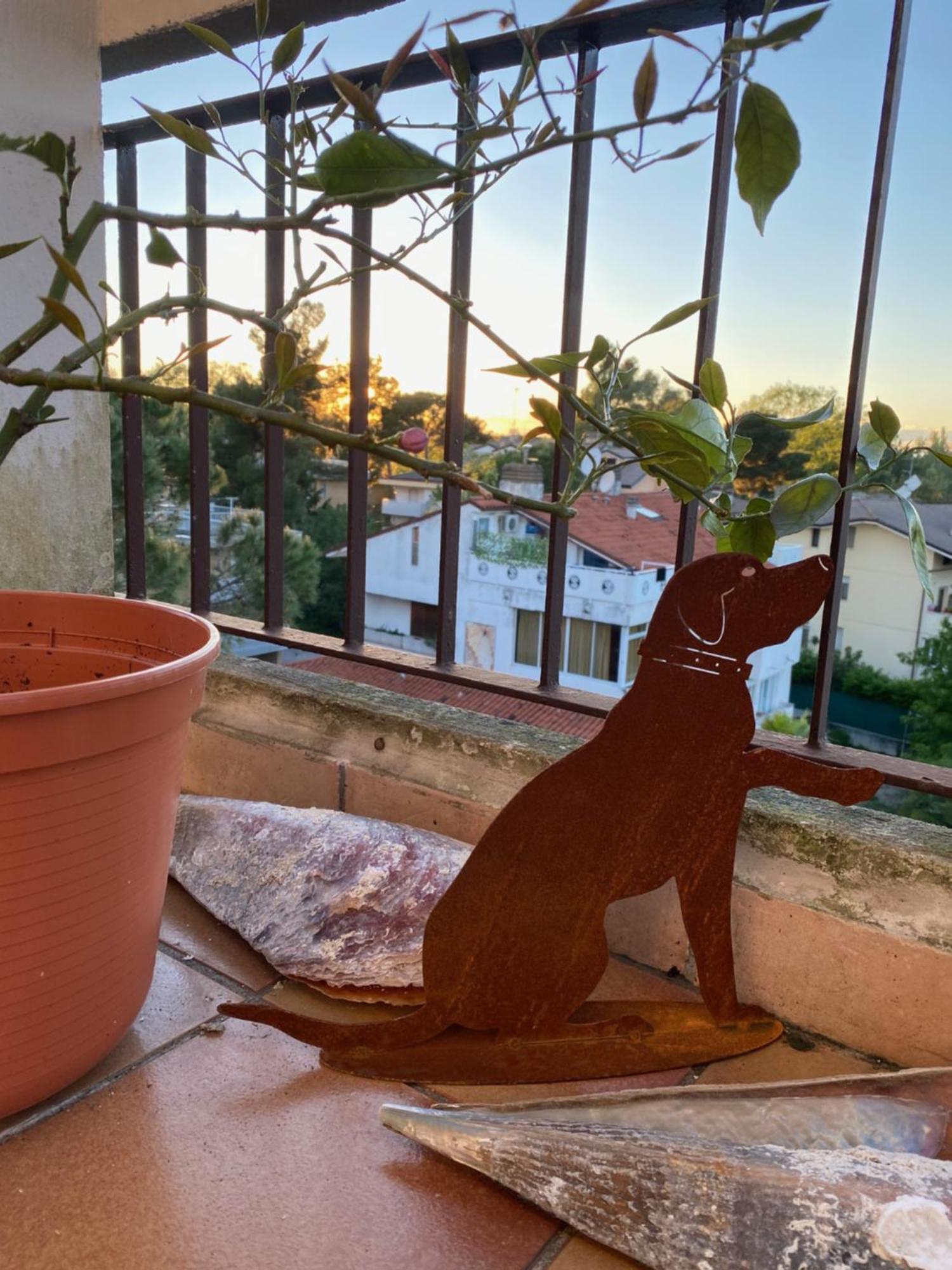 Appartamento Gradissimo Grado-Pineta Esterno foto